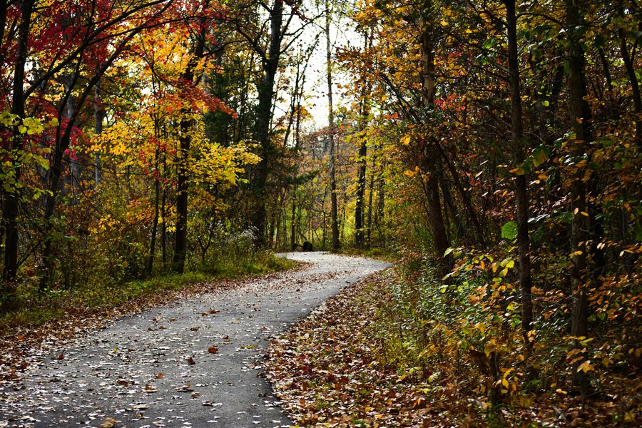 Pulaski County guide photograph